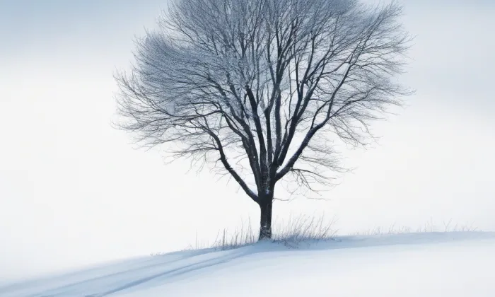 kaple Srdce Ježíšova – winter