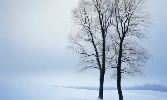 kaple sv. Vladimíra – winter
