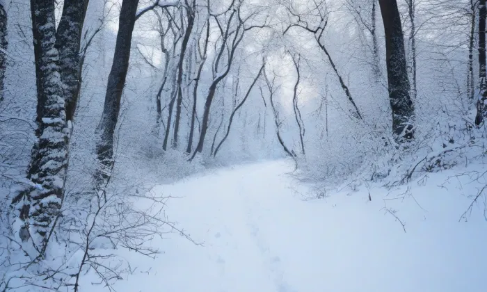 kaple svaté Anny (Žárová) – winter