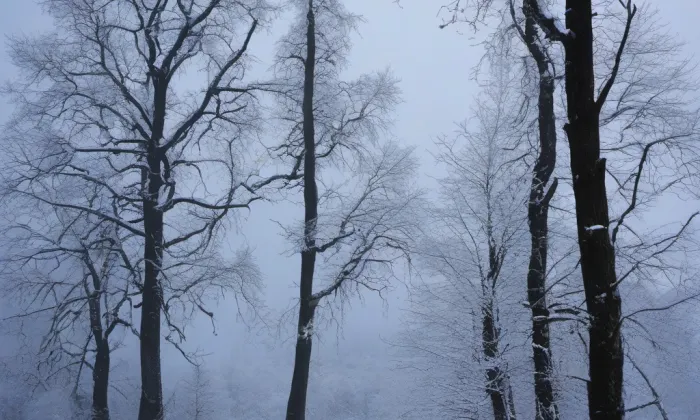 kaple svaté Anny (Řevničov) – winter