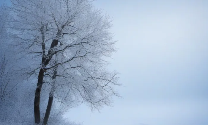 kaple svaté Anny (Lhotka) – winter