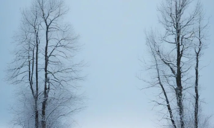 kaple svaté Anny (Luka) – winter