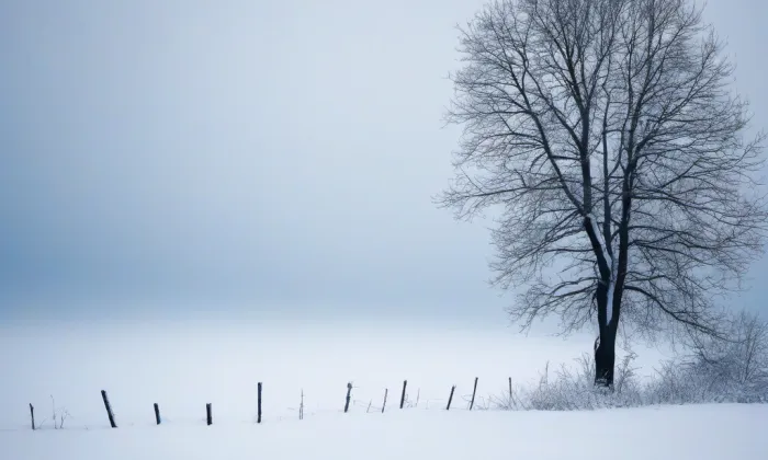 kaple svaté Anny (Mnichovo Hradiště) – winter