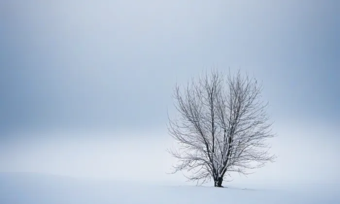 kaple svaté Anny (Strančice) – winter