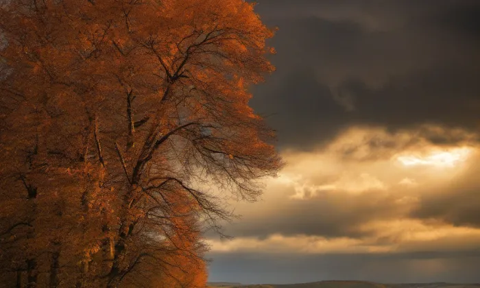 Kaple svaté Anny (Tanvald) – autumn