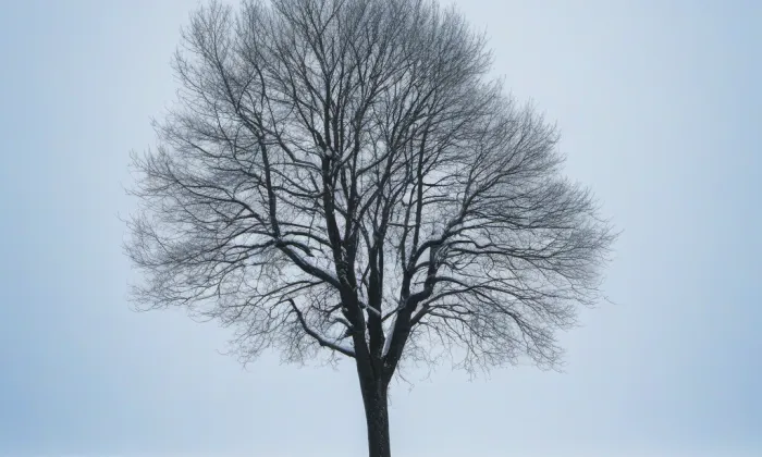 kaple svaté Anny v Uhřicích – winter