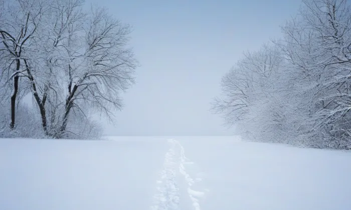 kaple svaté Barbory (Olomouc) – winter