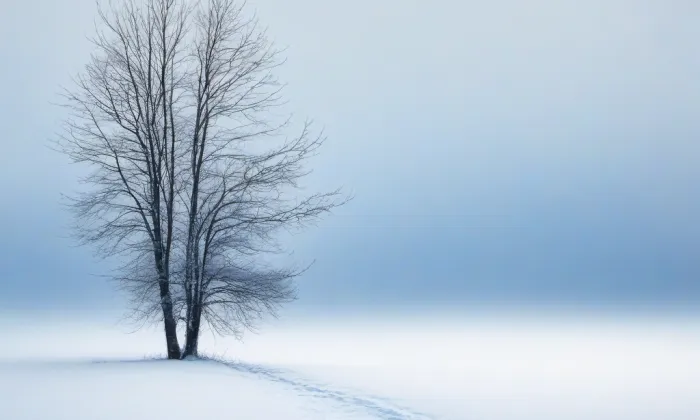 kaple svaté Barbory (Podlesí) – winter