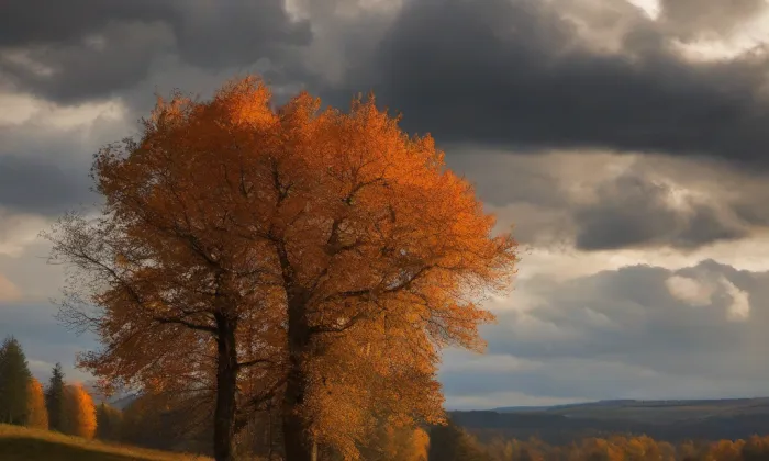 kaple svaté Elišky – autumn