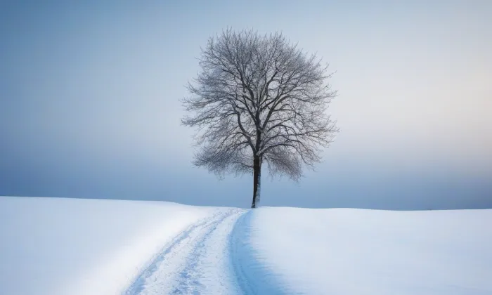 kaple svaté Elišky – winter