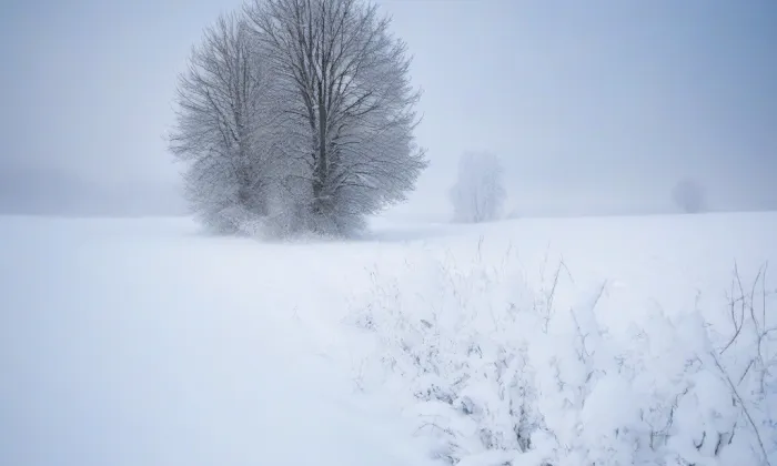 kaple svaté Hedviky – winter