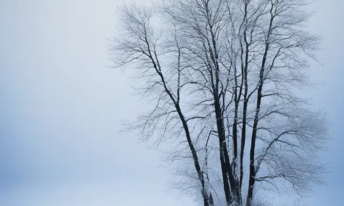 kaple svaté Máří Magdaleny (Holešovice) – winter