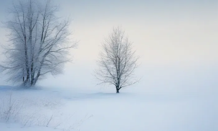 kaple svaté Rodiny (Kohoutovice) – winter