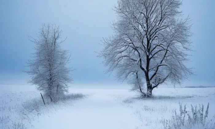 kaple svaté Rozálie (Arnultovice) – winter
