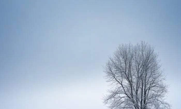 kaple svatého Antonína (Okřešice) – winter