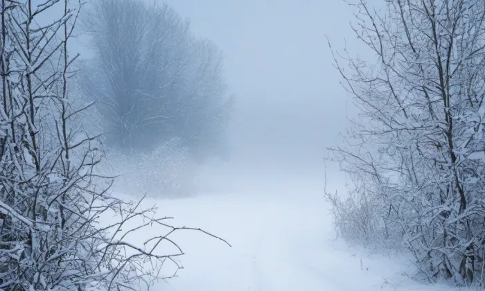 Kaple svatého Antonína Paduánského (Pisárky) – winter
