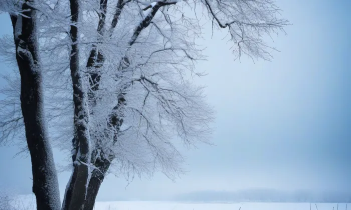 kaple svatého Cyrila a Metoděje (Kochánov) – winter