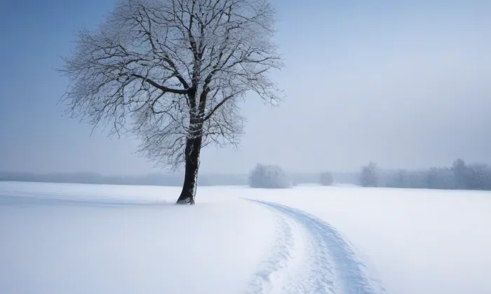 kaple svatého Cyrila a Metoděje (Olbramovice) – winter