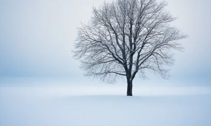 Kaple svatého Floriána (Bučávka) – winter