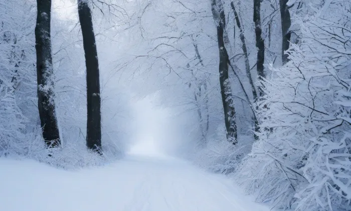 kaple svatého Floriána (Prostějov) – winter