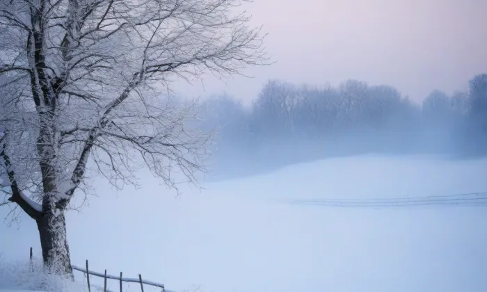 kaple svatého Františka Xaverského (Veveří) – winter