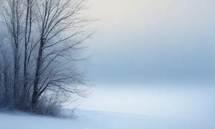 kaple svatého Františka z Assisi (Lovosice) – winter