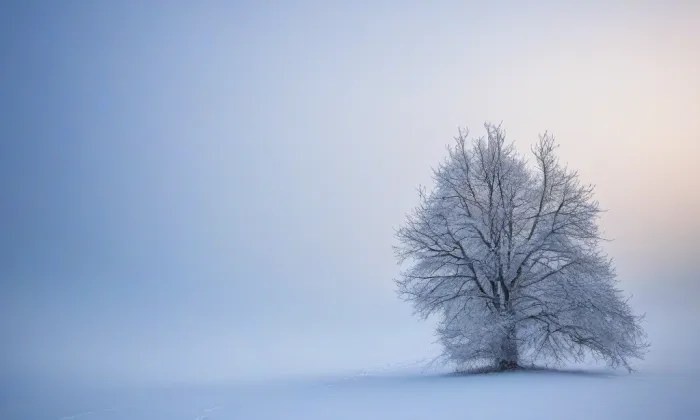 kaple svatého Huberta (Benecko) – winter