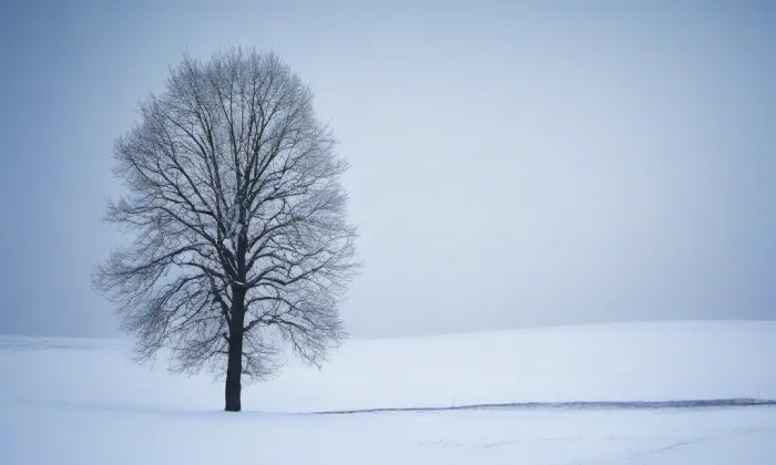 Kaple svatého Huberta (Herbertov) – winter