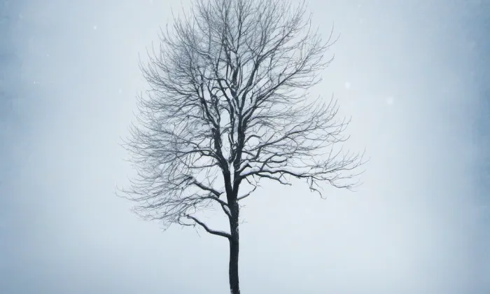 kaple svatého Jana Křtitele (Ostopovice) – winter