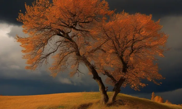 kaple svatého Jana Křtitele (Předměstí) – autumn