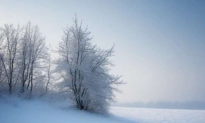kaple svatého Jana Křtitele (Předměstí) – winter