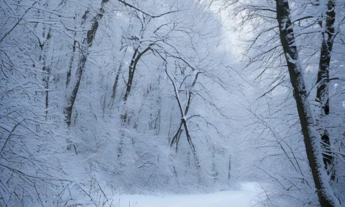 kaple svatého Jana Nepomuckého (Železný Brod) – winter