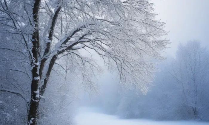 kaple svatého Jana Nepomuckého (Březce) – winter