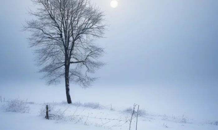 kaple svatého Jana Nepomuckého (Blízkov) – winter