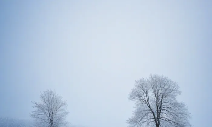 kaple svatého Jana Nepomuckého (Chvalín) – winter