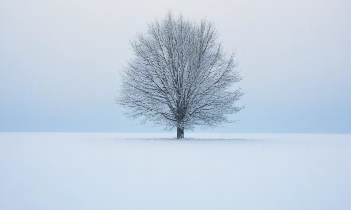 kaple svatého Jana Nepomuckého (Dobrná) – winter