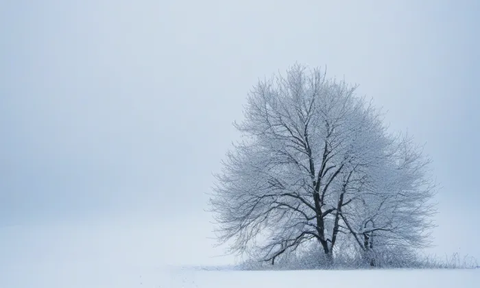 Kaple svatého Jana Nepomuckého (Karlov) – winter