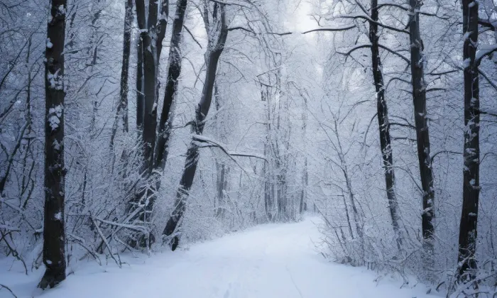 kaple svatého Jana Nepomuckého (Náchod) – winter