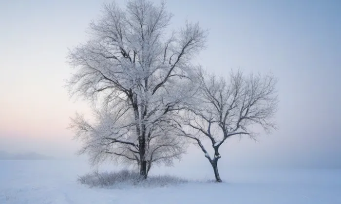 kaple svatého Jana Nepomuckého (Příchovice) – winter