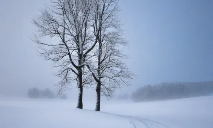 Kaple svatého Jana Nepomuckého (Slavošovice) – winter