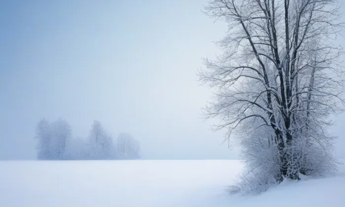 kaple svatého Jana Nepomuckého (Stráž pod Ralskem) – winter
