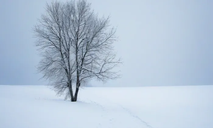 kaple svatého Jana Nepomuckého v Nymburce – winter