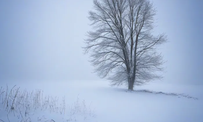 kaple svatého Jana Nepomuckého ve Svojetíně – winter