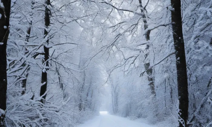 kaple svatého Jiří (Litovel) – winter