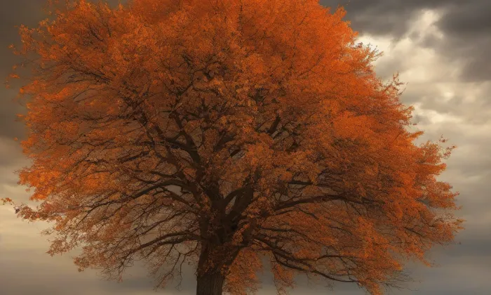 kaple svatého Josefa (Mikulášovičky) – autumn