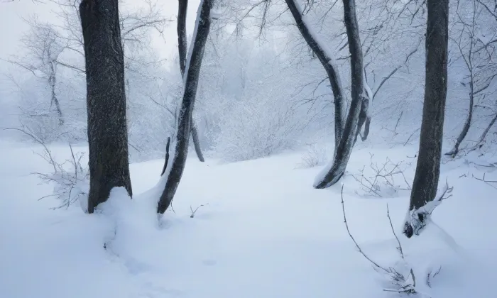 kaple svatého Josefa (Mikulášovičky) – winter