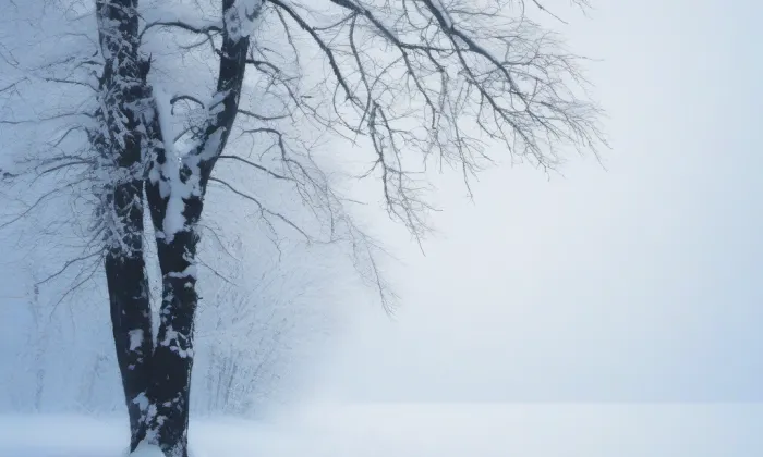 Kaple svatého Kříže (Letňany) – winter