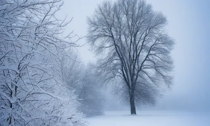 Kaple svatého Ondřeje ve Vranově nad Dyjí – winter