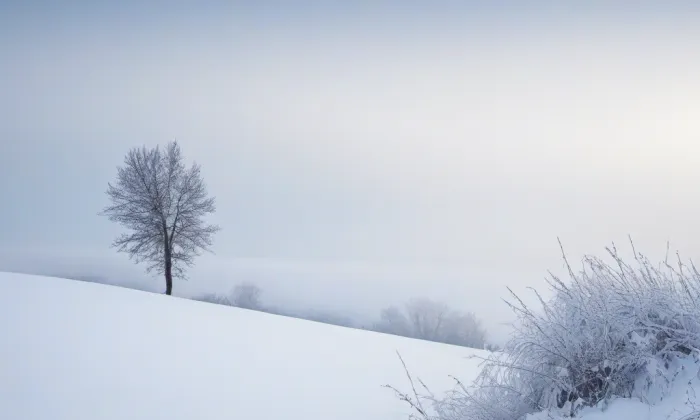kaple svatého Otce Pia X. – winter