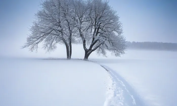Kaple svatého Václava (Černíky) – winter